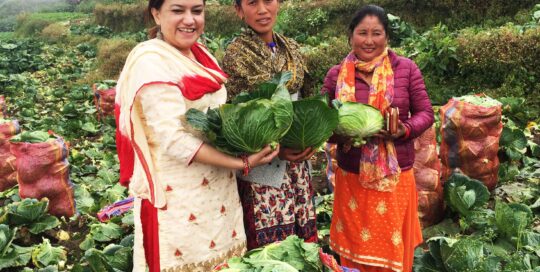Livelihood Makwanpur